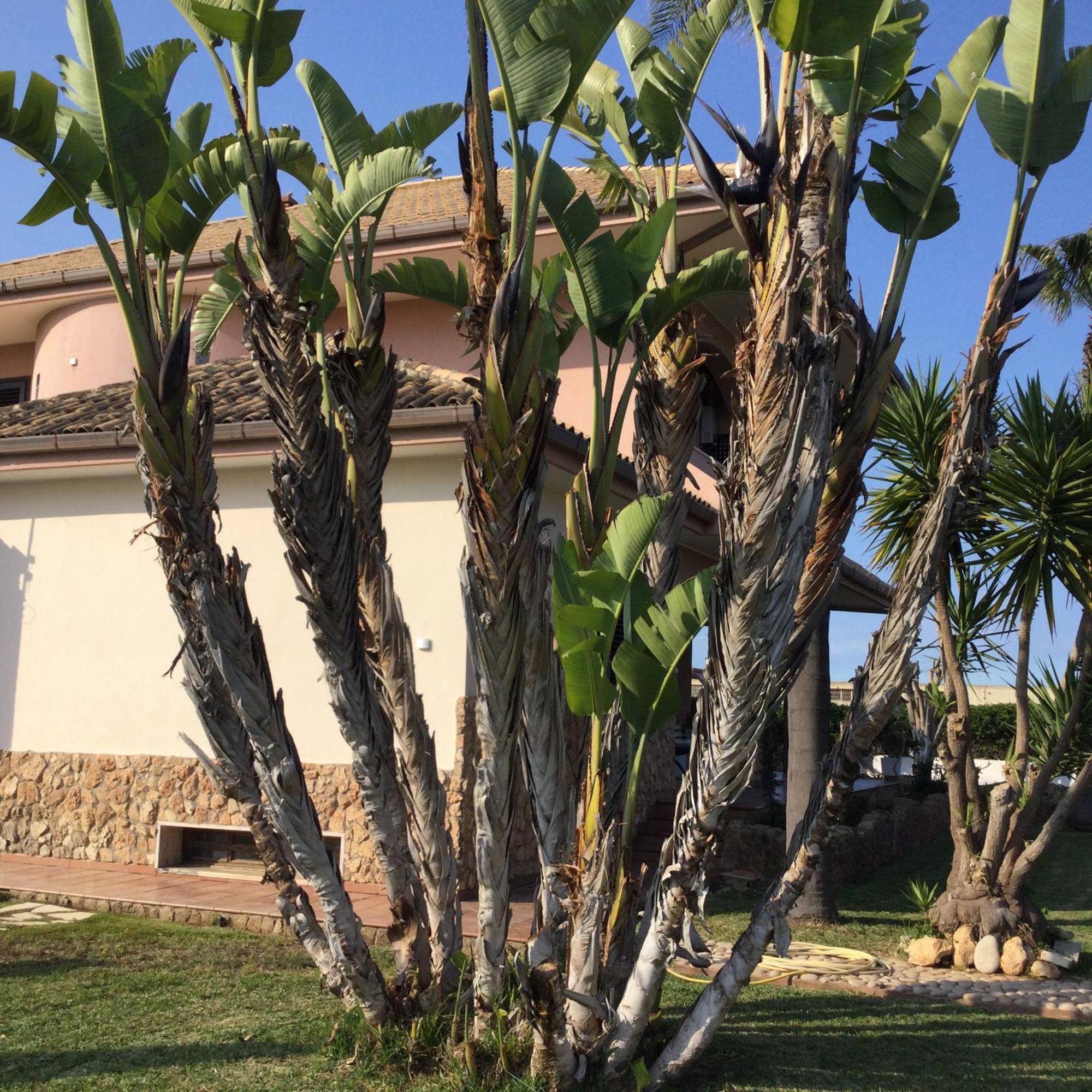 B&B Sicilia Bella Cassibile Eksteriør bilde